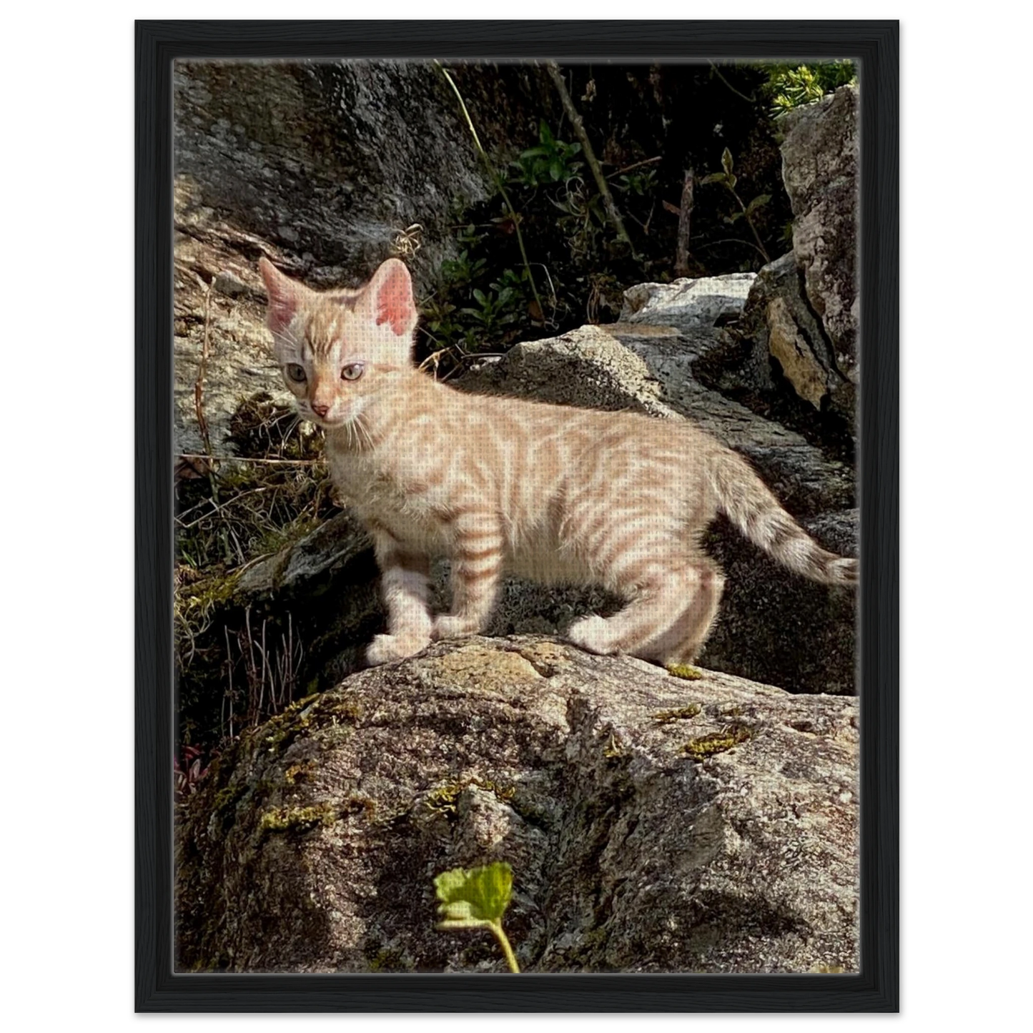 e7f96754-51e2-4d79-b70e-787e2b15c36f